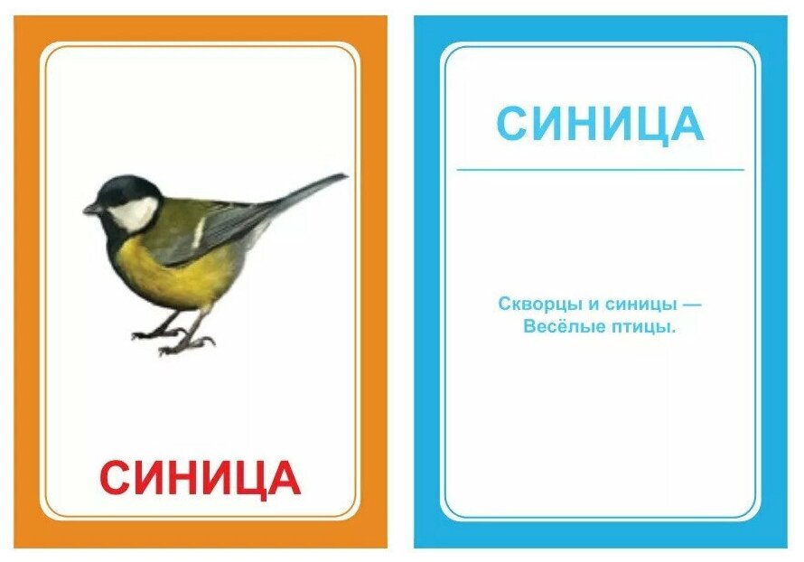 Обучающие логопедические карточки "Логопедка Ц", 30 двусторонних развивающих карточек с заданиями для автоматизации звука Ц в стихах и играх