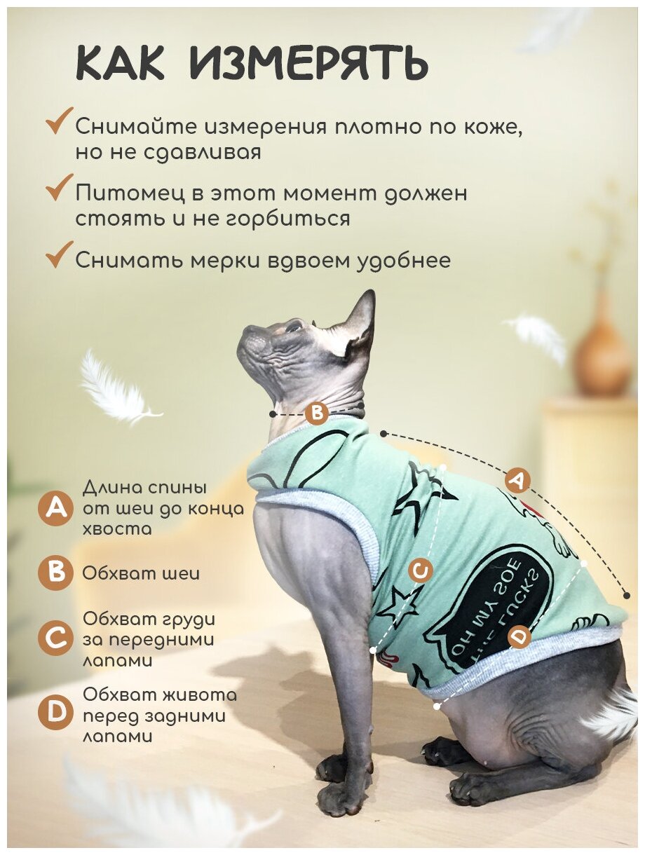 Одежда для животных кошек сфинкс и собак мелких пород - фотография № 5