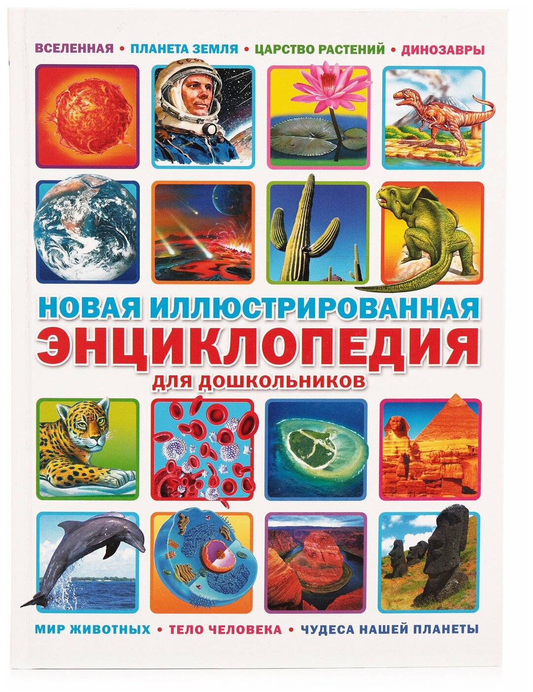 Новая иллюстрированная энциклопедия для дошкольников - фото №3