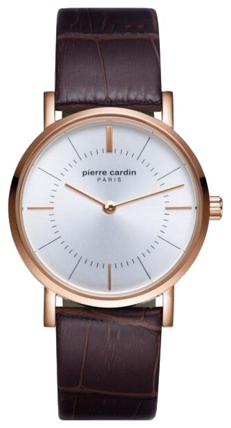 Наручные часы Pierre Cardin PC902612F03
