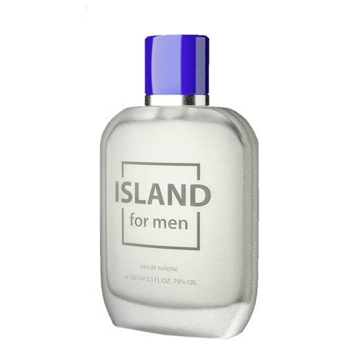Купить Bi-Es туалетная вода Island For Men, 100 мл
