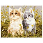 Menglei Картина по номерам ''Котятки'' 50x65 см (MMC062) - изображение