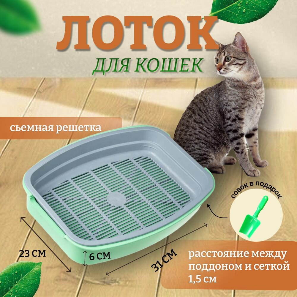 Туалет лоток с сеткой и совком для маленьких кошек (салатовый)