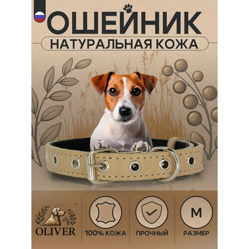 Ошейник для собак Oliver из натуральной кожи на мягкой подкладке из синтепона / M / Бежевый