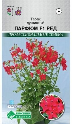 Табак душистый парфюм F1 Ред /10 семян х 1 упаковка/ Евросемена