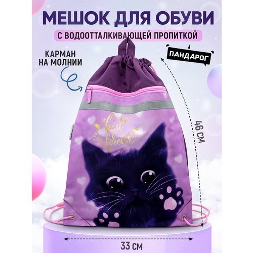 Сумка мешок рюкзак для сменной обуви сменки с петлей для подвеса 46х33 см с карманом на молнии Лунный кот 719₽