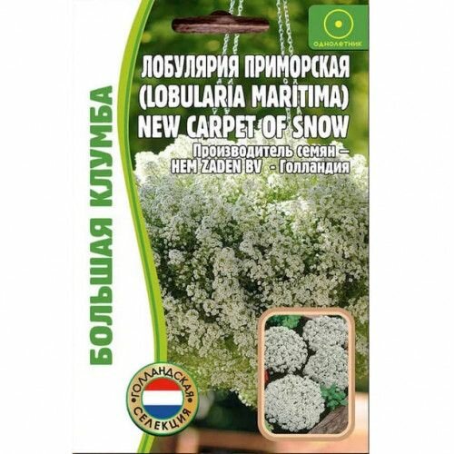 Алиссум (лобулярия) New Carpet of Snow 01г /Редкие семена