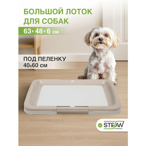 Лоток для собак STEFAN (Штефан) под одноразовую пеленку большой (L) размер 63x48x6 бежевый, BP1033B