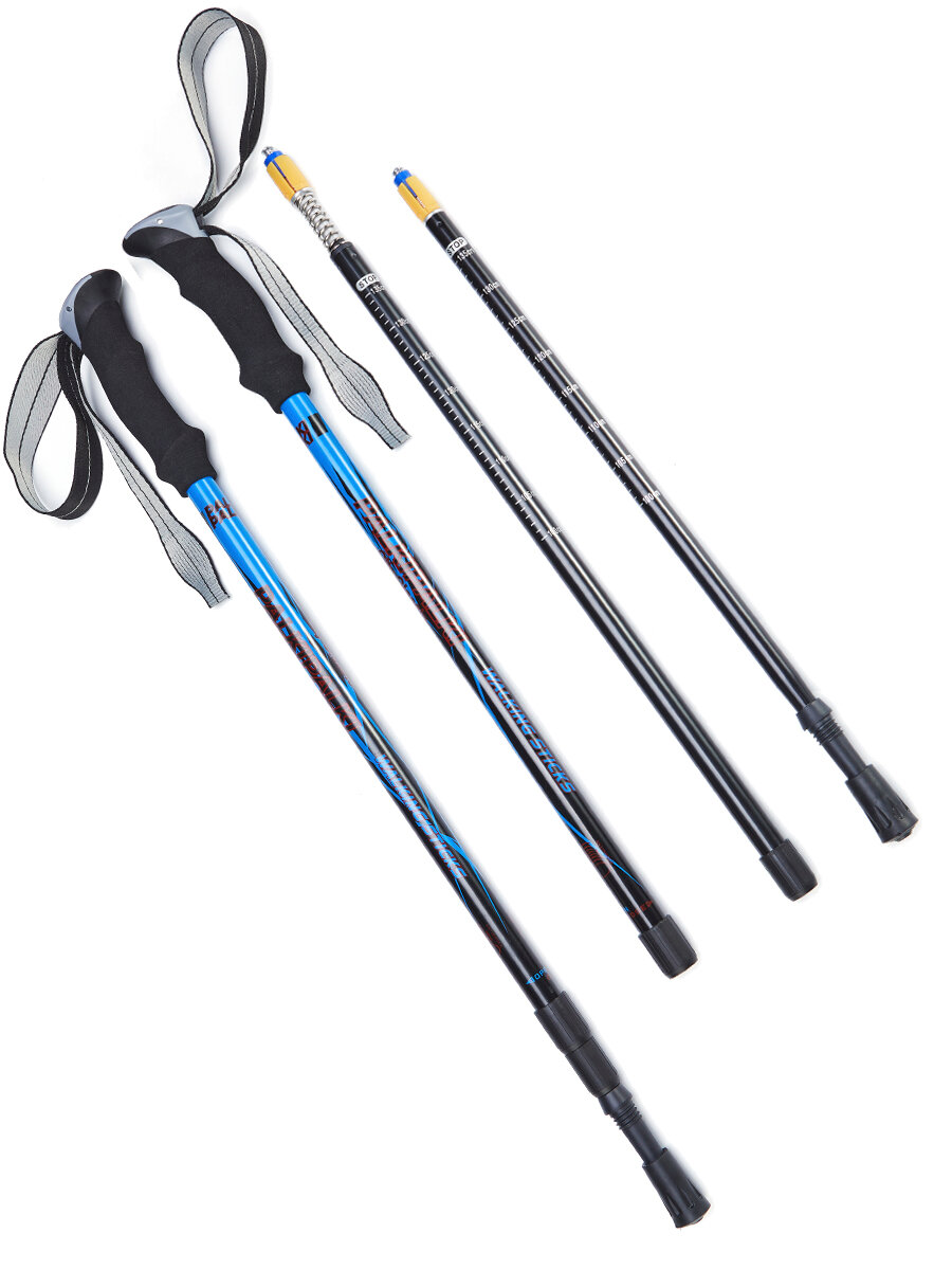 Палки треккинговые для опоры при ходьбе PALKIPALKI City Classic, набор с аксессуарами и чехлом, синие/черные — фото 1