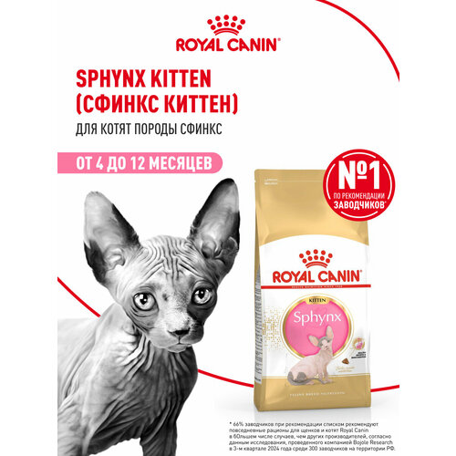 Корм для кошек Royal Canin Sphynx Kitten (Сфинкс Киттен) Корм сухой сбалансированный для котят породы Сфинкс, 0,4 кг