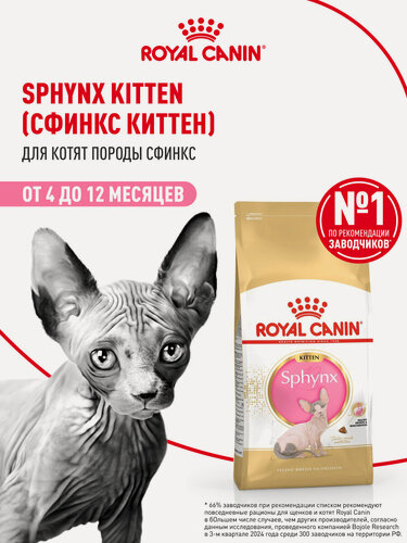Изображение товара Сухой корм для котят Royal Canin Kitten для породы сфинкс, 2 кг