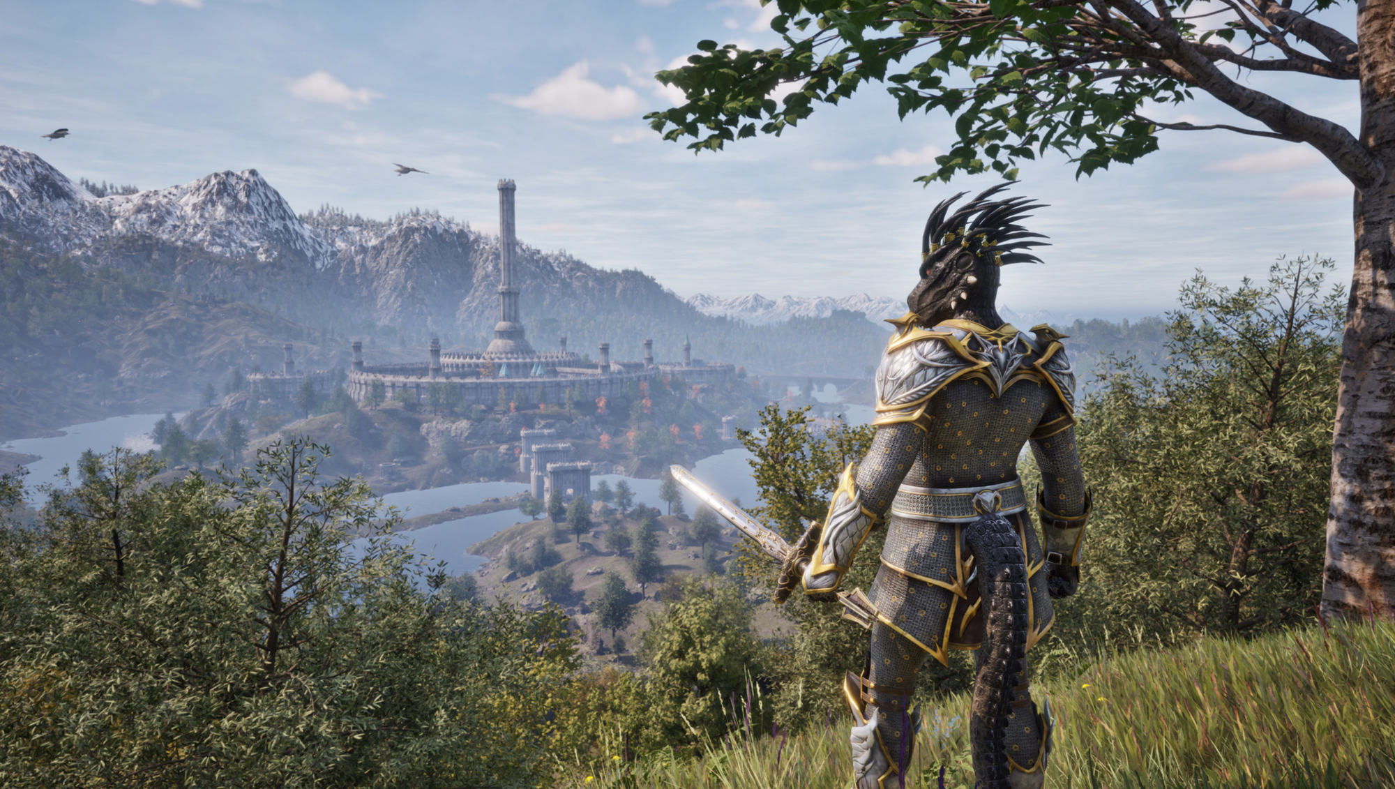 Игра The Elder Scrolls V: Skyrim Legendary Edition PC STEAM