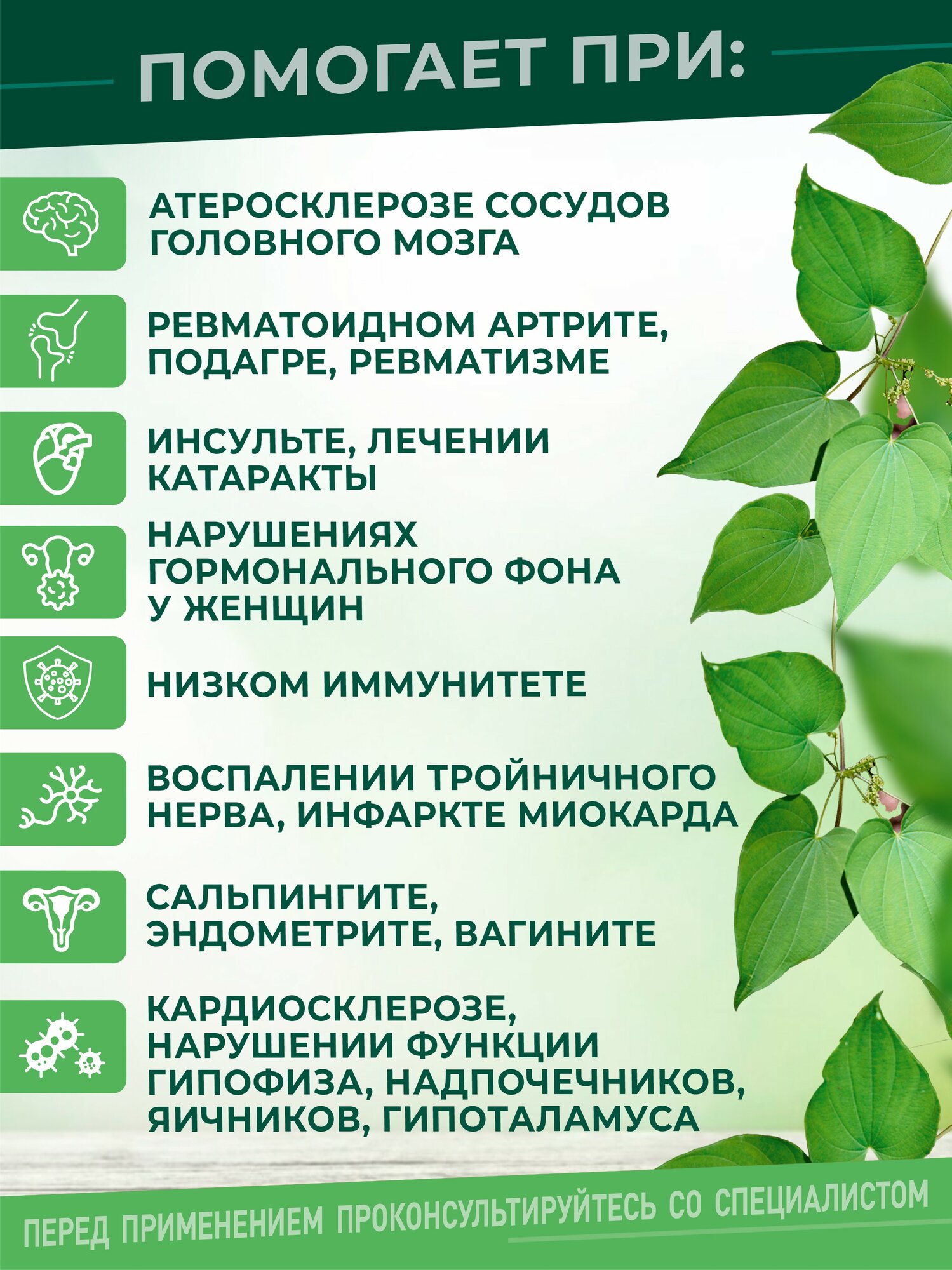 Картинки Диоскорея кавказская экстракт Безалкогольный от холестерина для мужчин и женщин, 200 мл - Алтайский Заготовитель