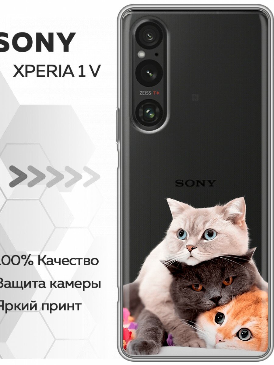 Чехол для Sony Xperia 1 V с принтом Котики коты (Сони Иксперия 1 5)