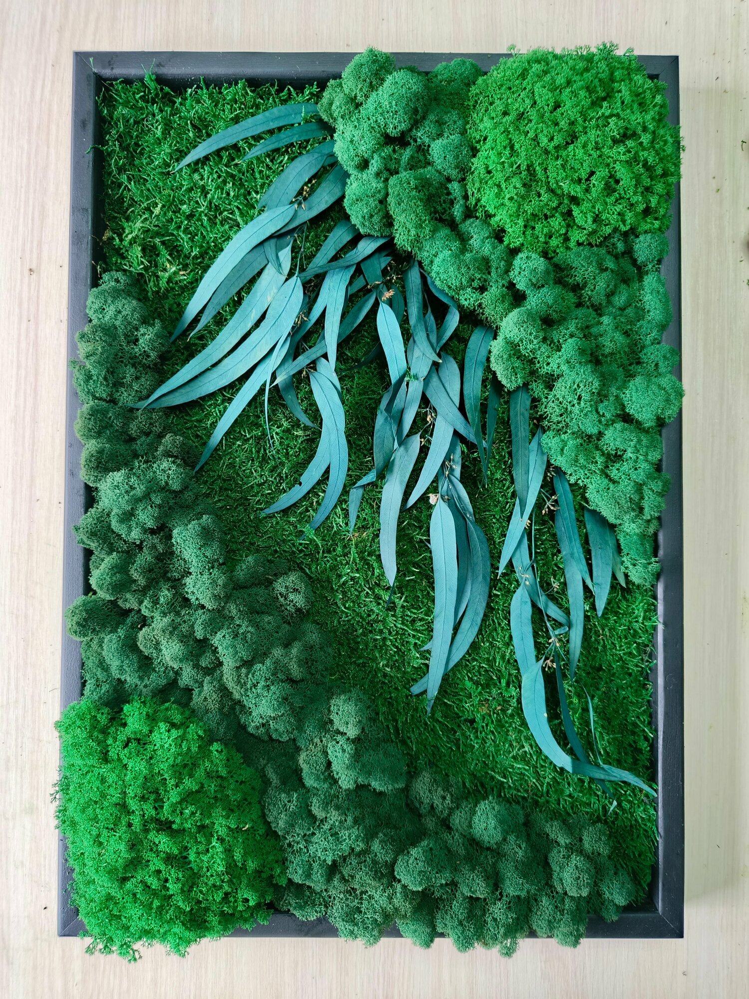Панно / картина из мха/ 60*40/ Кромвель