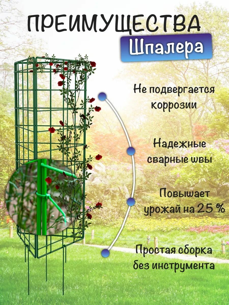 Шпалера для вьющихся растений, трансформер 3Д, опора металлическая для роз, клематиса, гороха, огурцов — фото 1