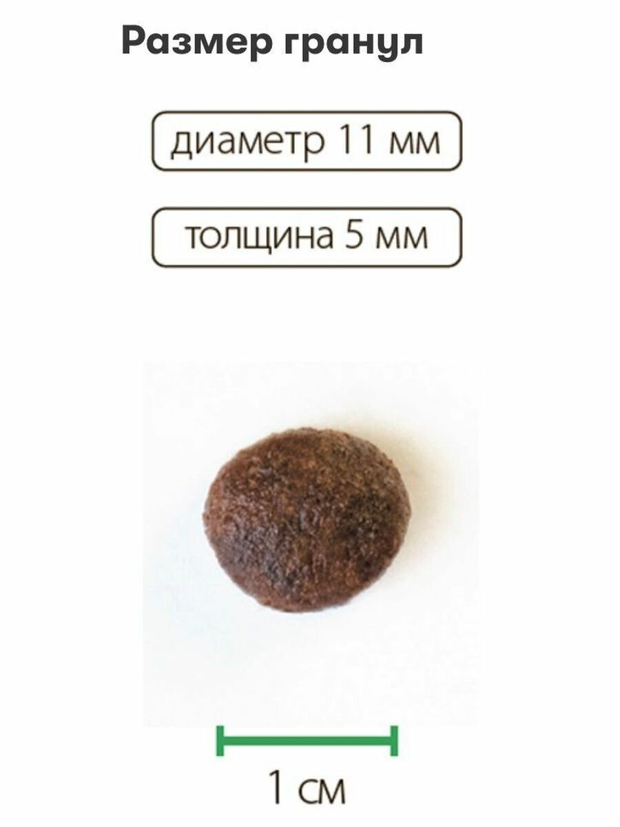 Cухой корм для кастрированных котов и стерилизованных кошек ALLEVA Equilibrium / Аллева Эквилибриум с рыбой, 0,4 кг — фото 1
