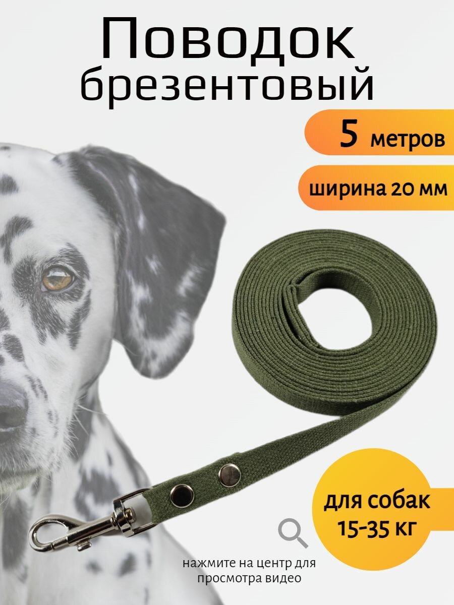 Поводок Хвостатыч для собак средних пород с карабином брезент 5 м х 20 мм (зеленый)