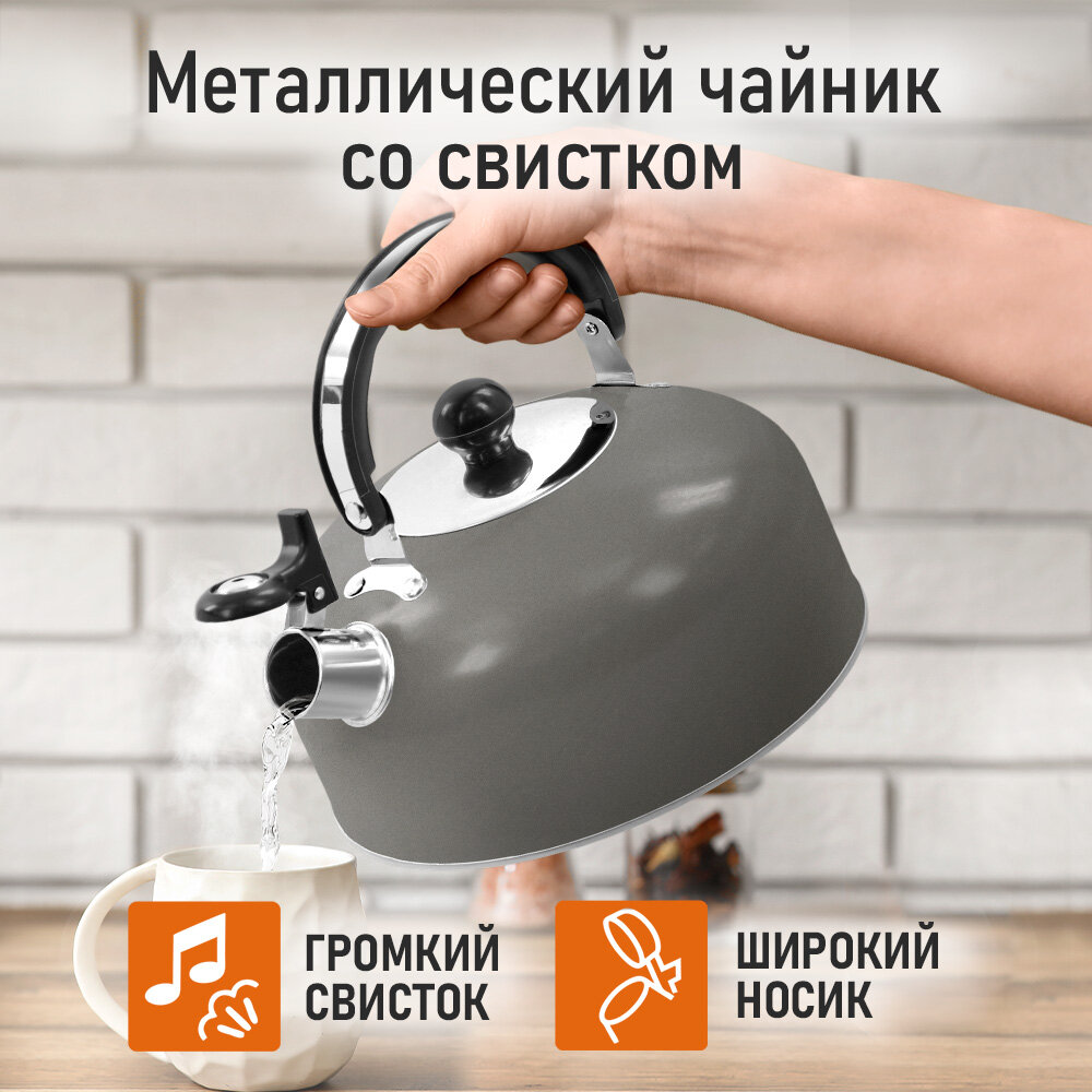 Чайник со свистком HOME ELEMENT HE-WK1604A темно-серый матовый — фото 1