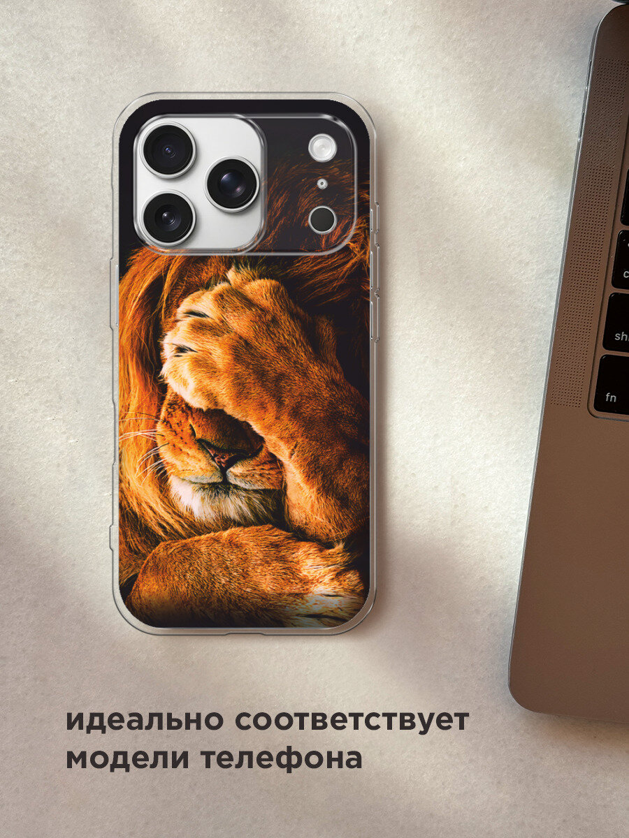 Чехол на Apple iPhone 17 Pro Max / Айфон 17 Про Макс с принтом Львиный стыд — фото 1
