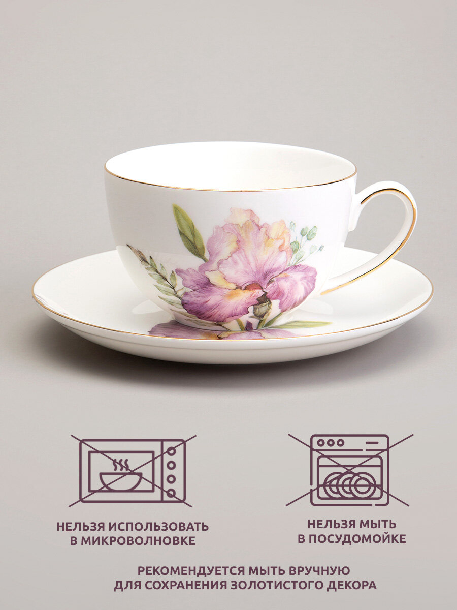 Чайная пара Lefard "Irises", на 1 персону, 2 предмета, фарфоровая, 280 мл. — фото 1