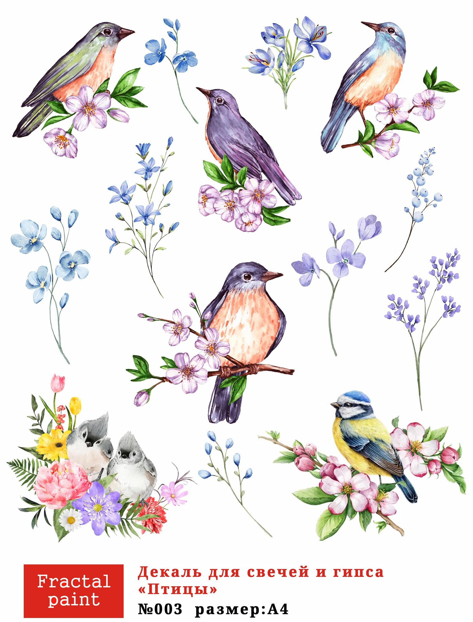 Трансфер для декупажа, декали для свечей и гипса птицы 003 (А4)