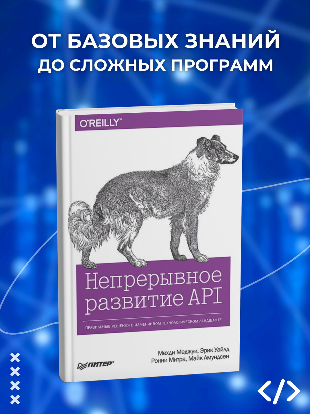 Непрерывное развитие API, Правильные решения в изменчивом технологическом ландшафте