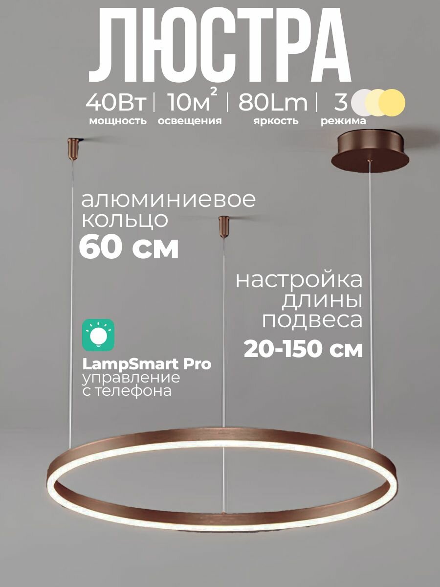 Люстра кольцевая на подвесах 60 см