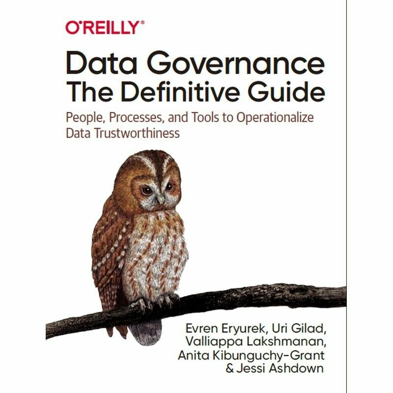 Data Governance: The Definitive Guide