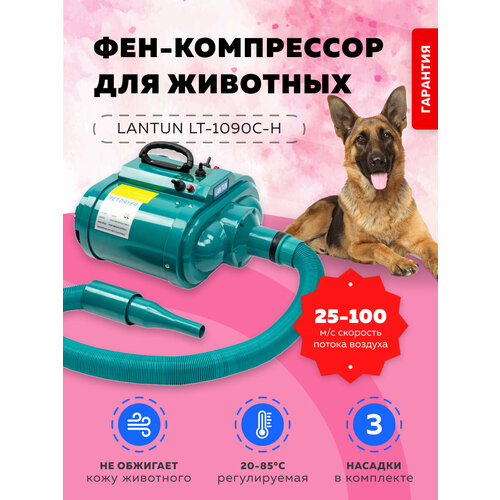 Фен компрессор для животных Lantun LT-1090C-H Green
