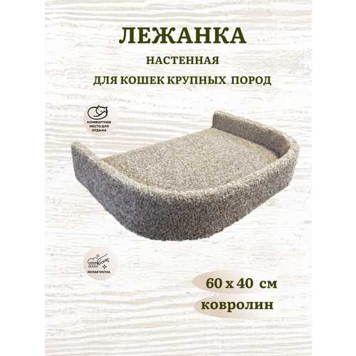 Лежанка для кошек, лежанка для собак, Ван Кот, настенная, с бортиком, ковролин, 60х40 см