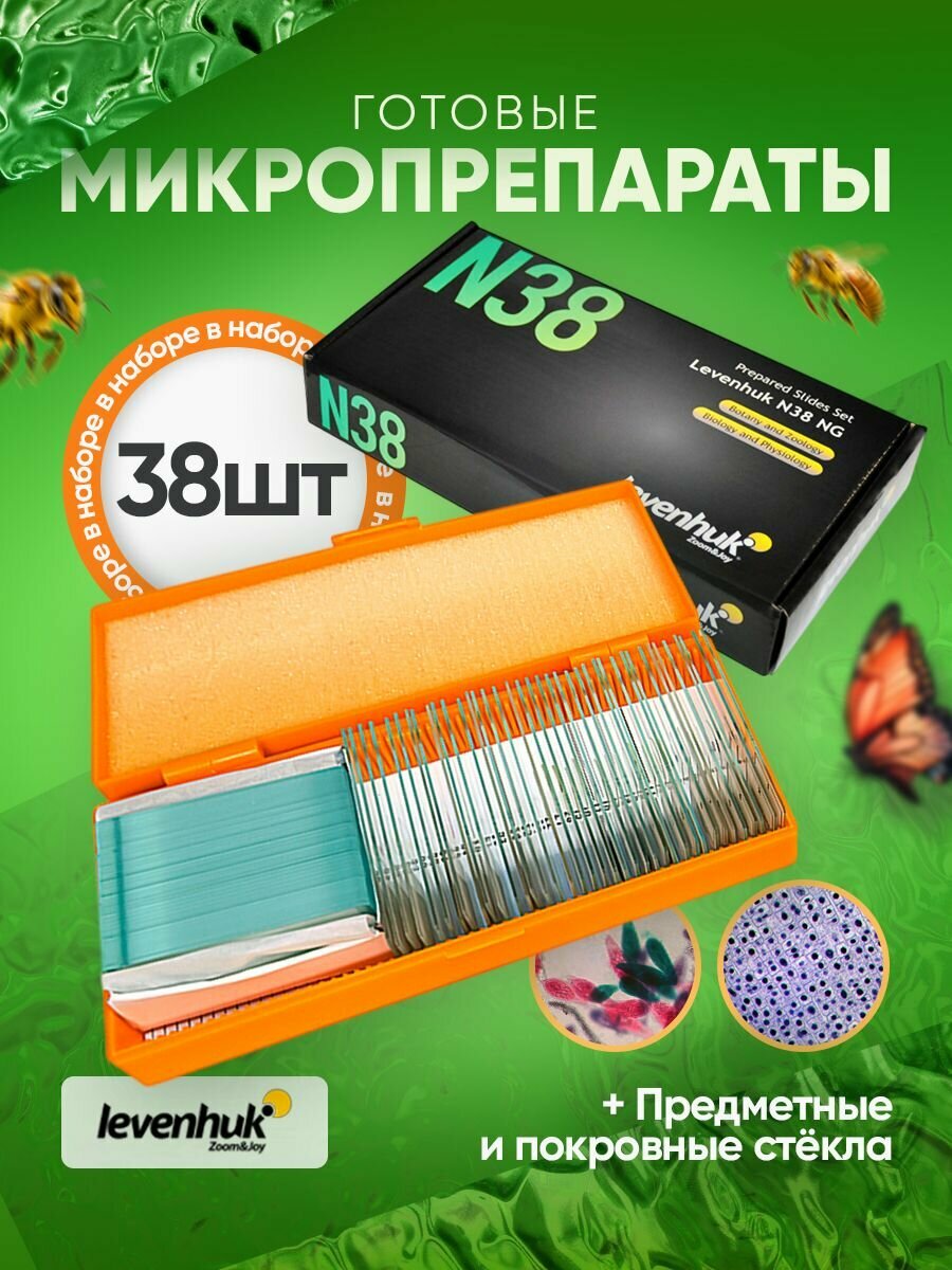 Набор микропрепаратов Levenhuk N38 NG для самостоятельных исследований