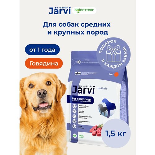 фото Jarvi сухой полнорационный корм для взрослых собак средних и крупных пород говядина, 1,5 кг.