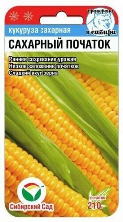 Кукуруза Сахарный початок 6 семян Сиб Сад)