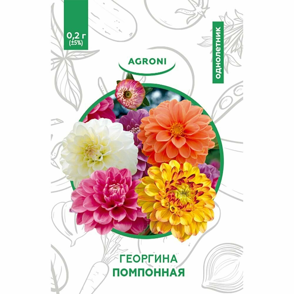 Георгина помпонная Летний микс 02 г XS 3 штуки в наборе 5 штук в наборе