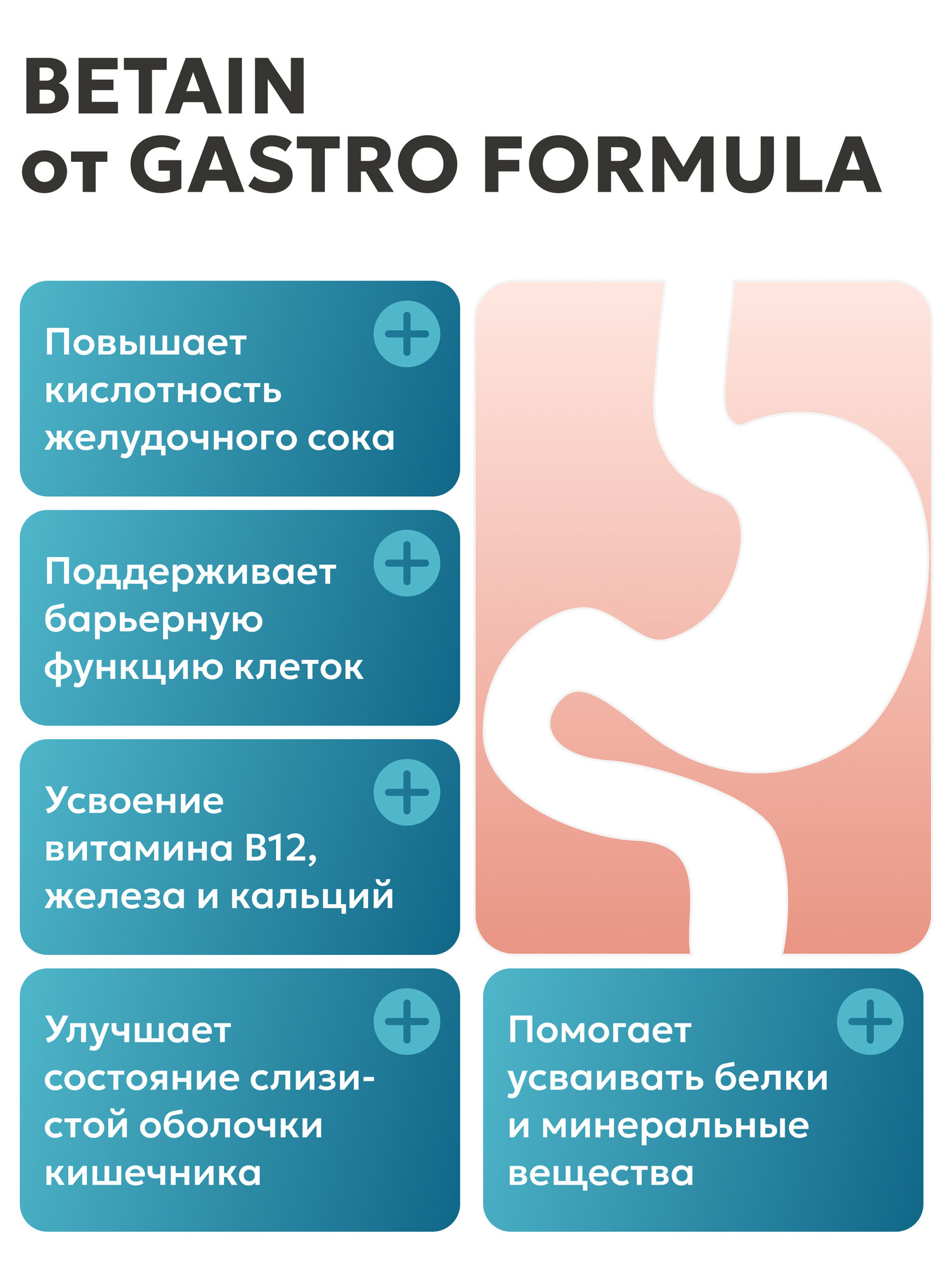 Минеральные Вещества Бетаин гидрохлорид 700 мг GASTRO FORMULA для печени, желудка, кишечника и пищеварения, 60 капсул