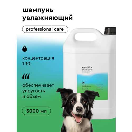 Профессиональный шампунь для собак Pamilee AquaVita, 5л, концентрат