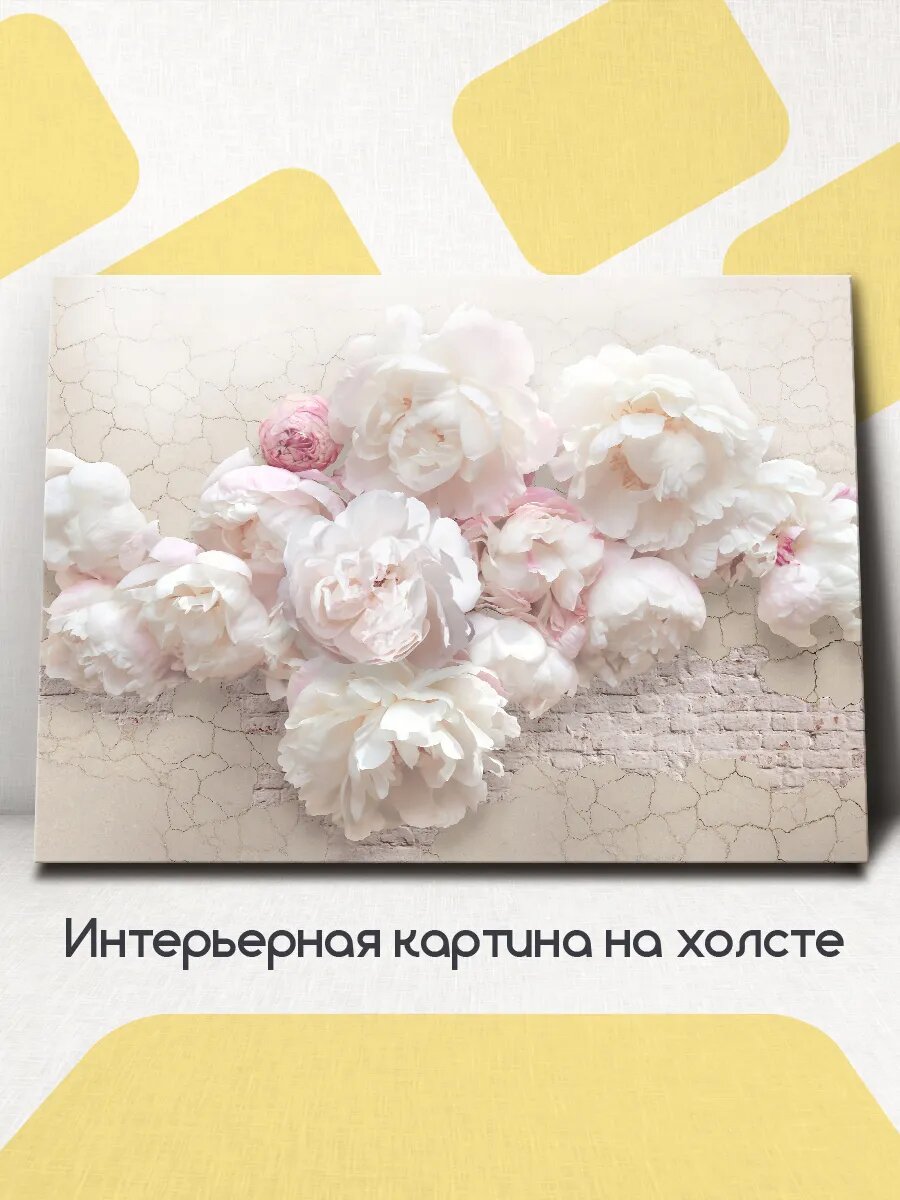Картина на стену интерьерная Пионы 40x30 см