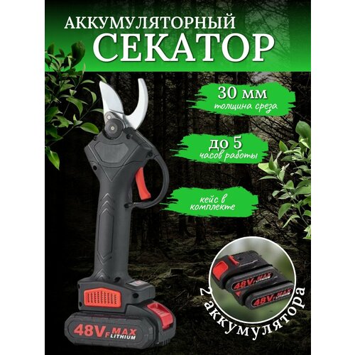 Секатор аккумуляторный садовый мощный для сада и дачи в кейсе красный, черный
