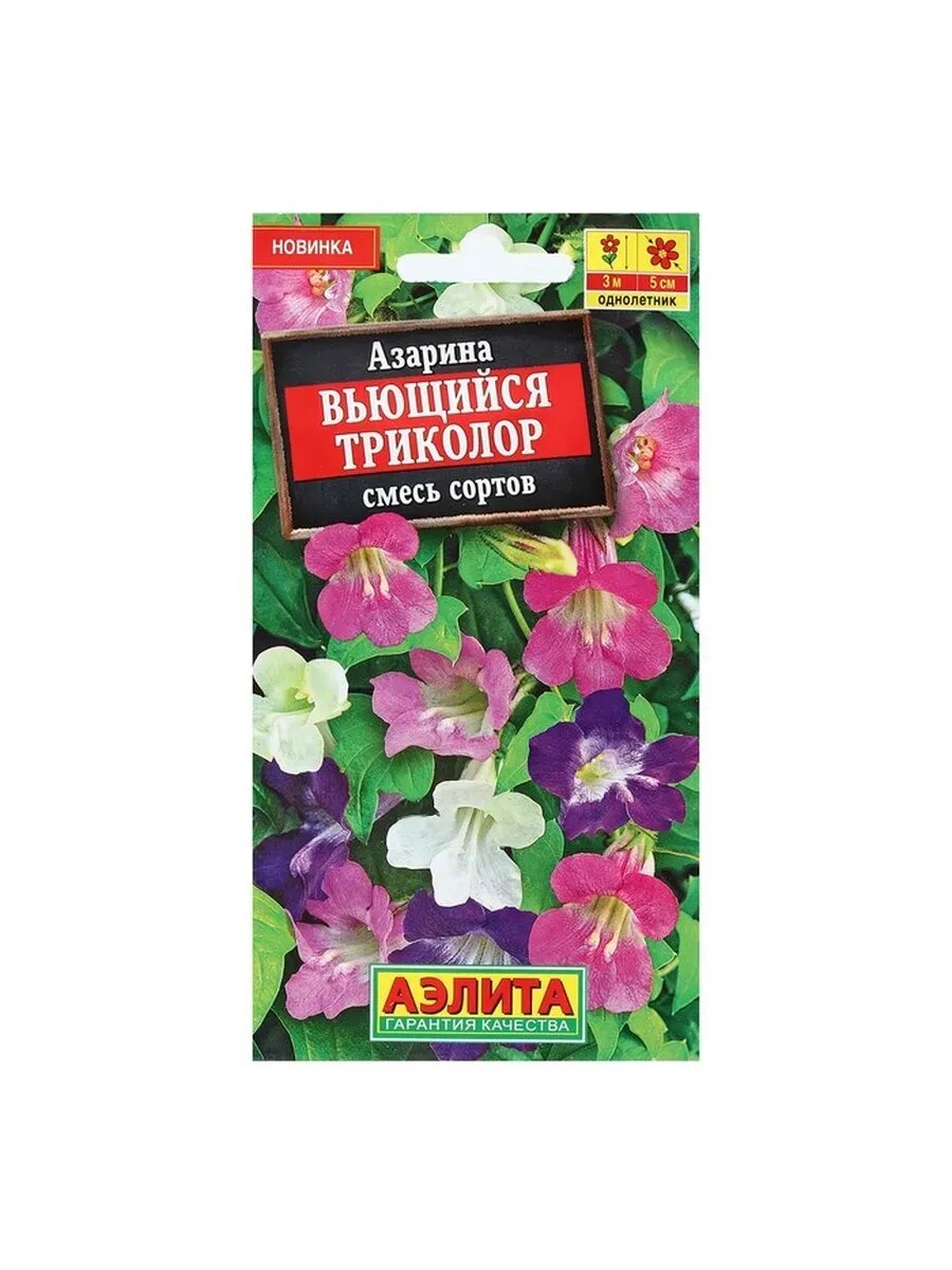 5 упак Семена Цветов Азарина 