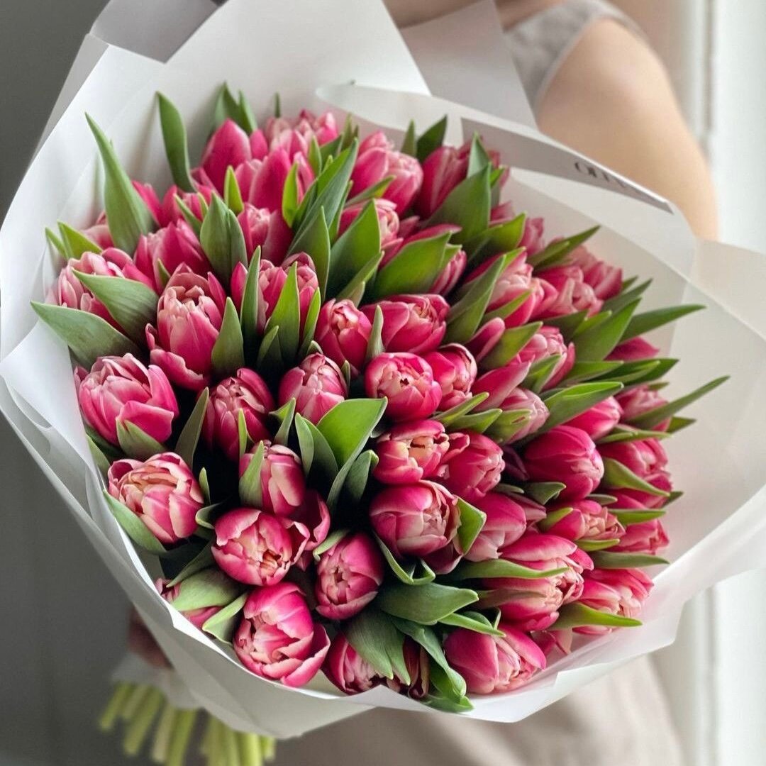 Букет из розовых тюльпанов 51 шт, красивый букет цветов, шикарный, премиум цветы, премиум букет