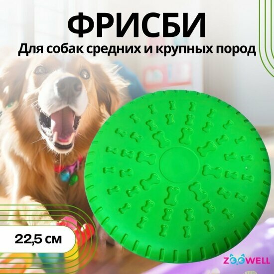 Игрушка фрисби для собак Zoowell летающая тарелка для игры с животными цвет зеленый 225 см (HT037)