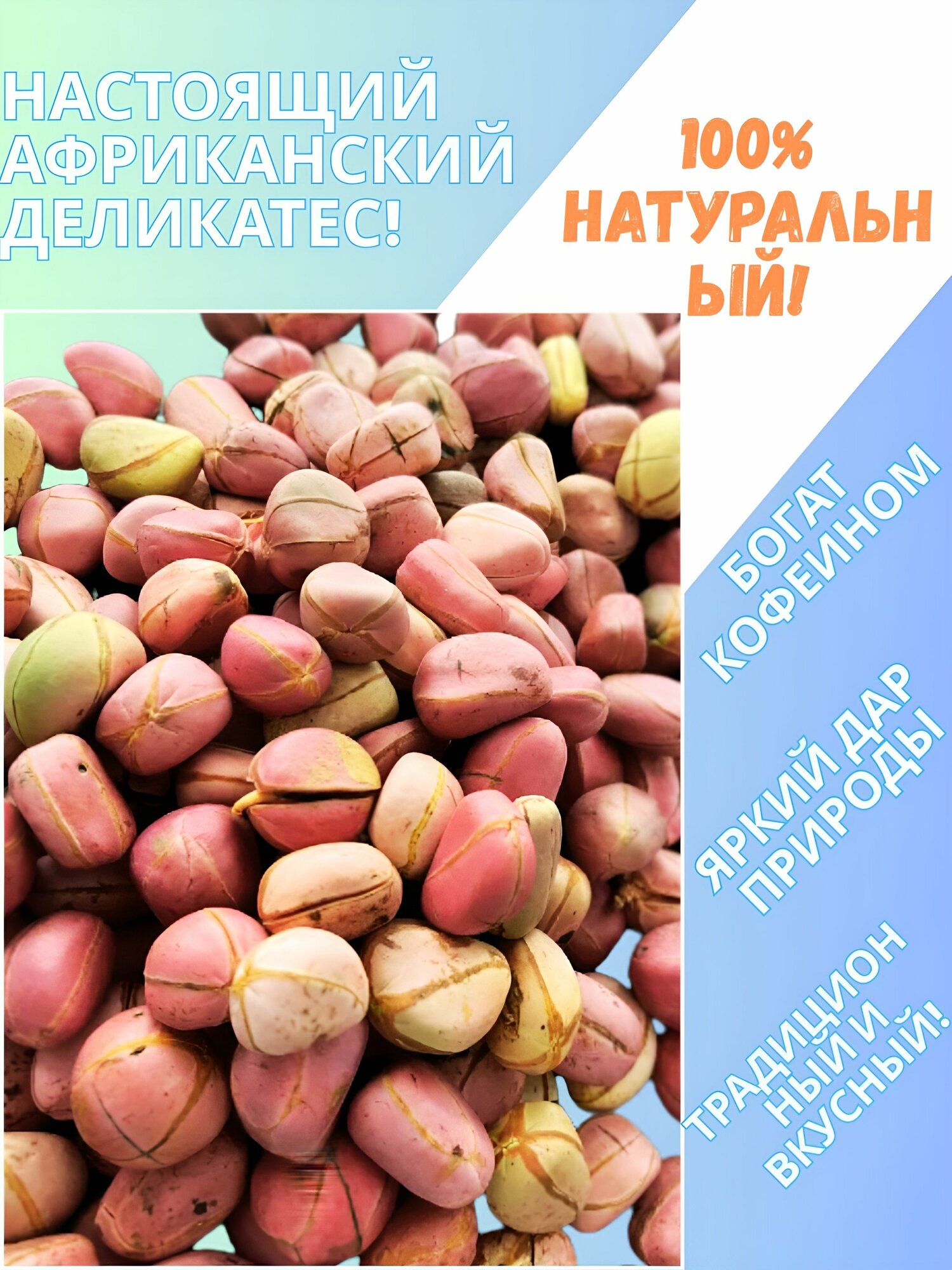 Коланут из африканского леса (Кола нитида) Obi Kolanut