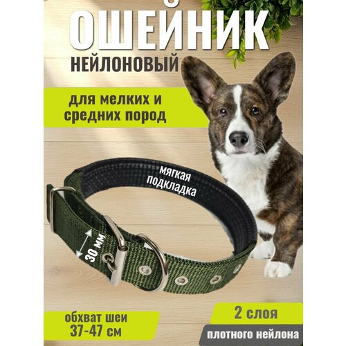 Ошейник для собак средних и мелких пород 30мм хаки