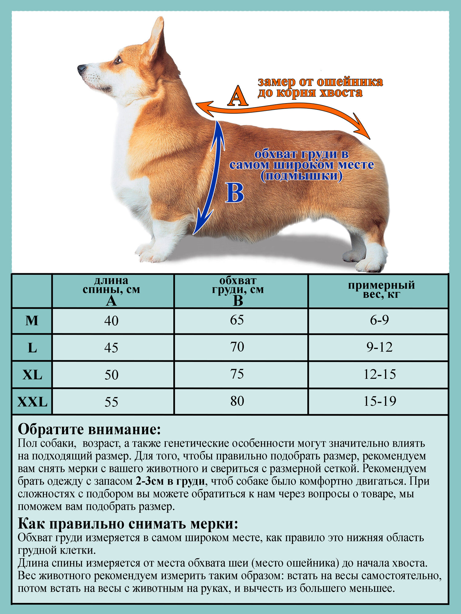 Дождевик для корги "Комфорт", цвет желтый-бирюзовый, размер L. — фото 1