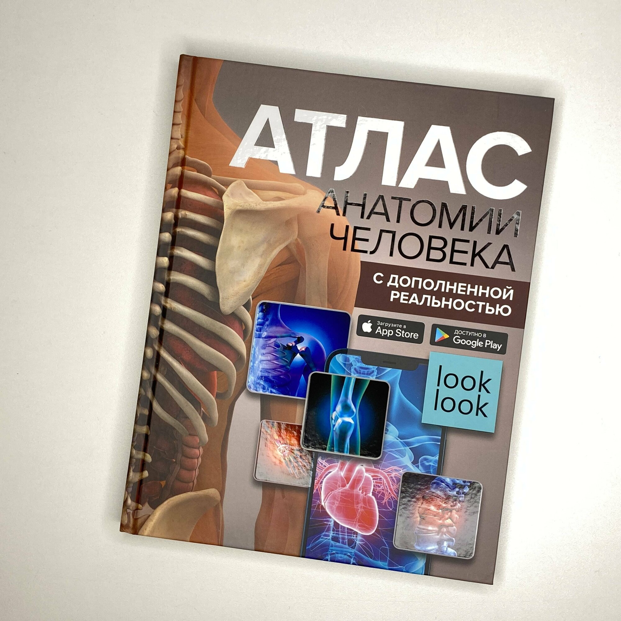 Атлас анатомии человека с дополненной реальностью — фото 1