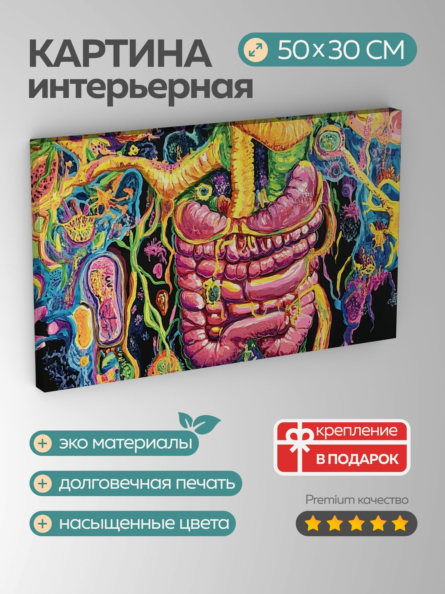 Картина на холсте интерьерная 50х30 см, акриловая картина, пищеварительная система, человек, яркие краски, органы