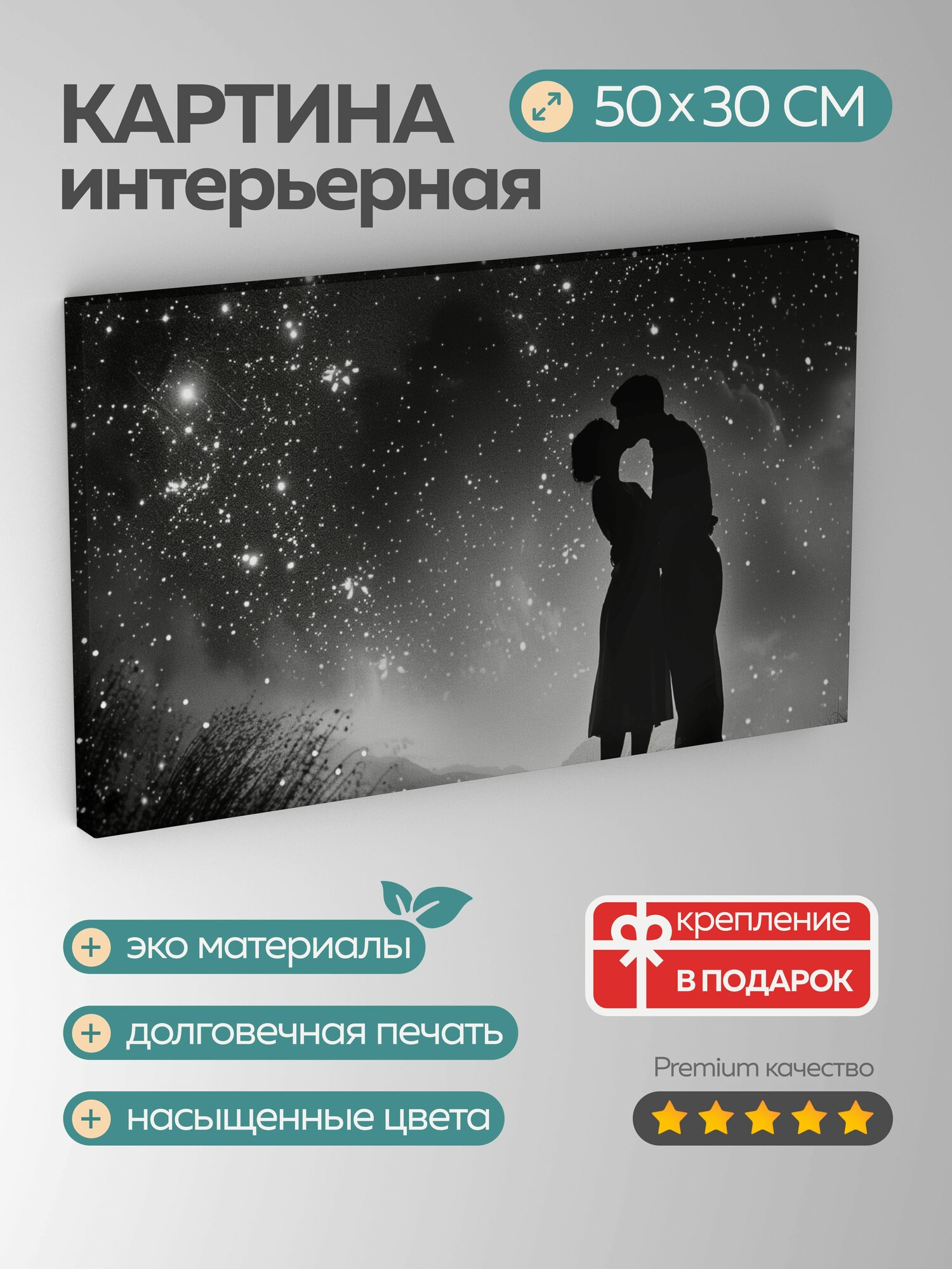 Картина на холсте интерьерная 50х30 см, фотография, черно-белая, пара, целующаяся, звездное покрывало, мягкий контраст