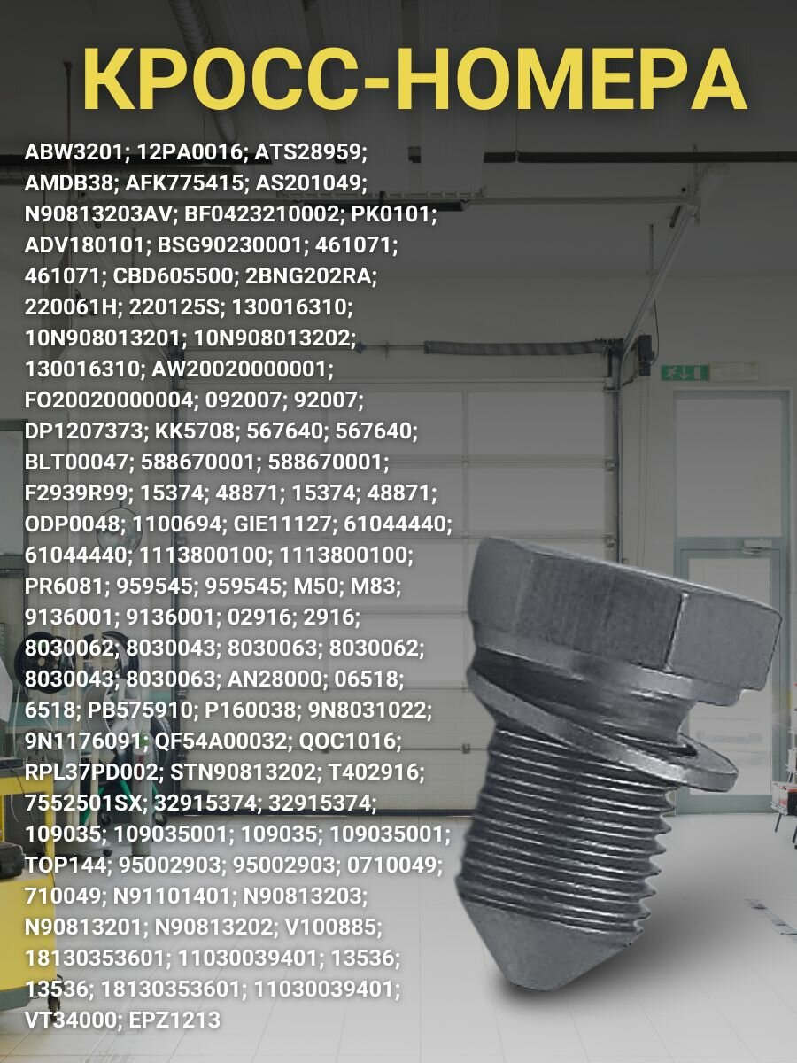 Пробка сливная (болт) масляного поддона с уплотнительным кольцом M14 x 1,5 : Audi, Seat, Skoda, Volkswagen OEM N90813202 — фото 1