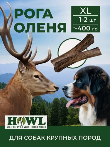 Изображение товара Рог Северного оленя для собак крупных пород (размер XL) 400 гр. HOWL